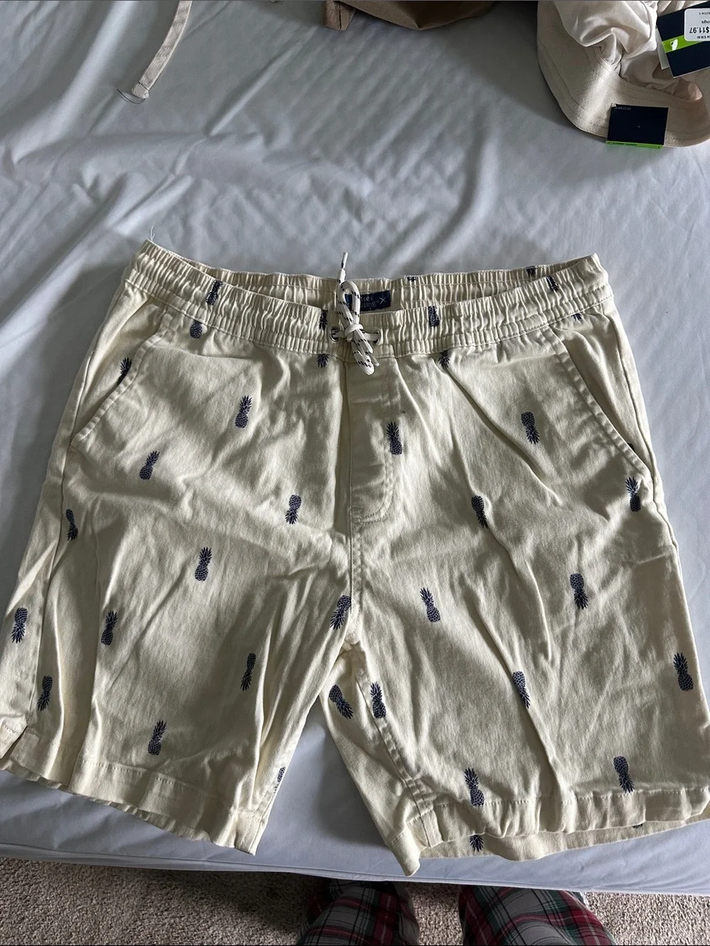 Men's Cream Pineapple Print Swim Shorts